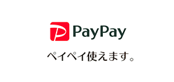 ペイペイ使えます